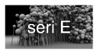 seri_E link