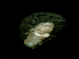 The Mind Image 2