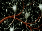 The Mind Image 4