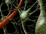 The Mind Image 5
