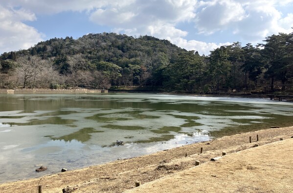 shuhogahara_pond