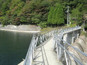 thmb_073.jpg