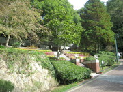 thmb_086.jpg