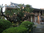 thmb_209.jpg