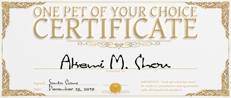 2019_xmas_cert_1