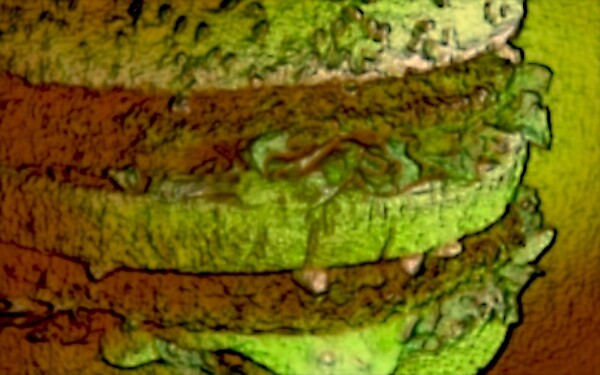 image_1