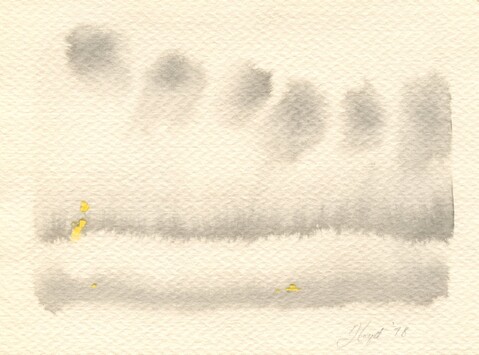 pncl_wash_2