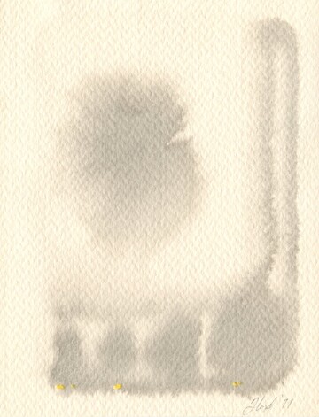pncl_wash_3