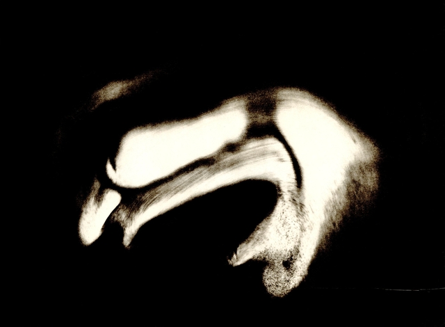 imag_020.jpg