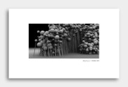 catalog page image