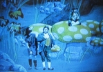CBC Image 18