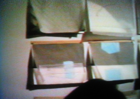 Perspectives Image 2