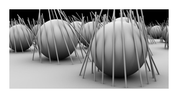 seri_H Image 6