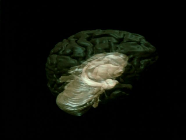The Mind Image 2