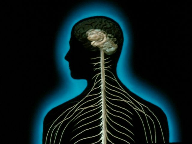 The Mind Image 3