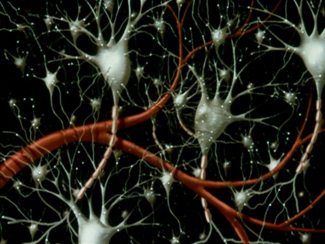 The Mind Image 4